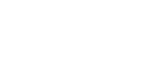 Village Expert - Villages de Noël